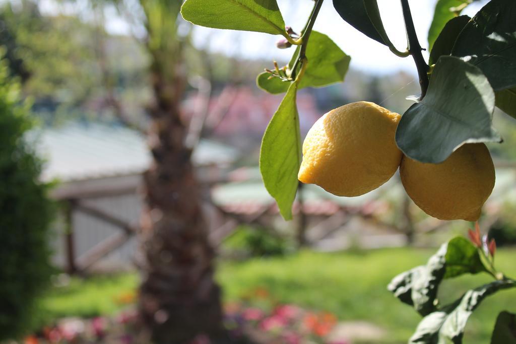 סורנטו Casa Vacanze Chery מראה חיצוני תמונה